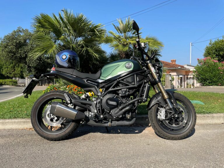 Leoncino800 01